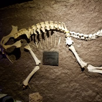 La Kiva Restaurant & Bar - the famous dinosaur fossil - Bars Near Me - Terlingua, Texas La Kiva Restaurant & Bar - the famous dinosaur fossil - Bars Near Me - Terlingua, Texas