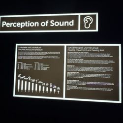 Haus der Musik - Perception of sound.