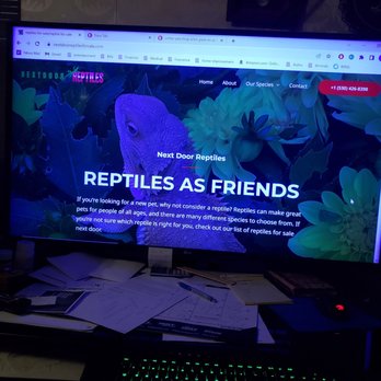 Nextdoor Reptiles - Fake website! - Reptile Shops Near Me - Allen Park, Michigan Nextdoor Reptiles - Fake website! - Reptile Shops Near Me - Allen Park, Michigan