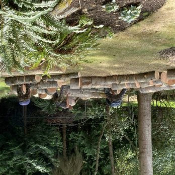 budget stump and tree removal - Tree Services Near Me