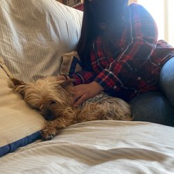 In Her Healings - Zara receiving Animal Reiki Healing from Glecie