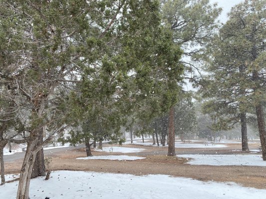 Trailer Village RV Park by null