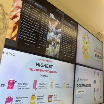 Ashario - Best Cannabis Dispensary in North York and Aurora, Toronto - Cannabis Dispensaries Near Me - Aurora, Ontario Ashario - Best Cannabis Dispensary in North York and Aurora, Toronto - Cannabis Dispensaries Near Me - Aurora, Ontario