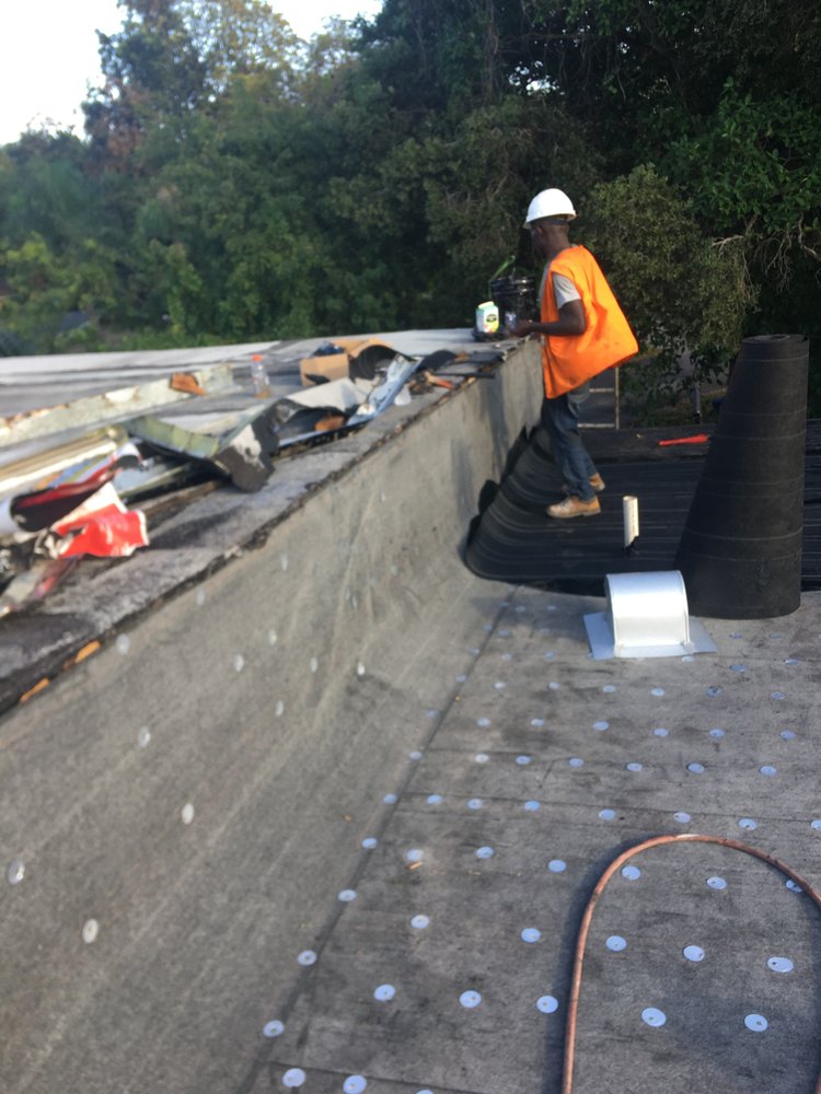 Slide of Tree Of The World Roofing
