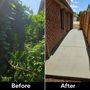 Photo of Five Star Tree Service
