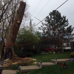 Apex Tree Service of Michiana - Easy does it...the Apex way