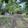 Photo of Black River Tree Removal