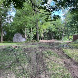 Black River Tree Removal - After!