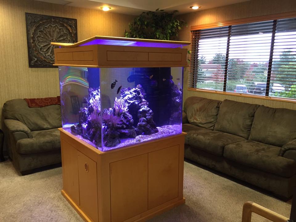 REDDING DENTAL GROUP Updated September 2024 2315 Bechelli Ln