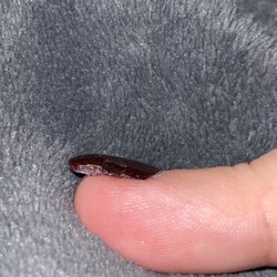Crystal Nails - Polish missing from one day