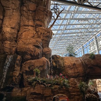 Downtown Aquarium - Museums Near Me - Denver, Colorado Downtown Aquarium - Museums Near Me - Denver, Colorado