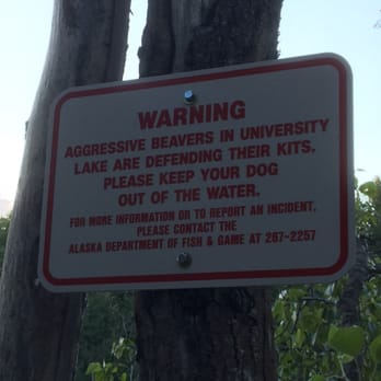 University Lake Dog Park - While they're just protecting their young, they're still kind of assholish. - Dog Parks Near Me - Anchorage, Alaska University Lake Dog Park - While they're just protecting their young, they're still kind of assholish. - Dog Parks Near Me - Anchorage, Alaska