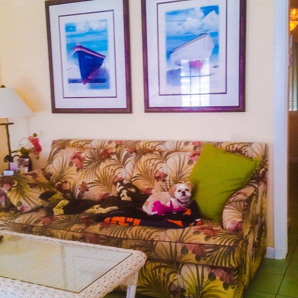 Tradewinds Resort - Living room and comfy couch - Resorts Near Me - Bradenton Beach, Florida Tradewinds Resort - Living room and comfy couch - Resorts Near Me - Bradenton Beach, Florida