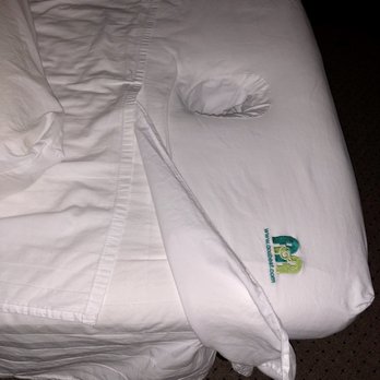 Lemon Tea Massage - Massage Near Me - Happy Valley, Oregon Lemon Tea Massage - Massage Near Me - Happy Valley, Oregon
