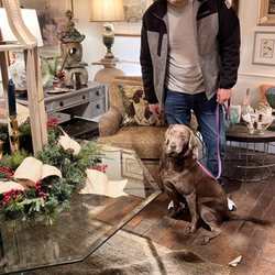Mellwood Antiques & Interiors - One of the beautiful booths on the 2nd floor.