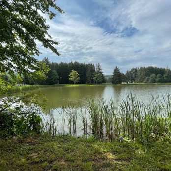 Pioneer Park Campground - Lake - Campgrounds Near Me - Somerset, Pennsylvania