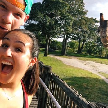 Zoo Miami - Photo bombed at its finest - Zoos Near Me - Miami, Florida Zoo Miami - Photo bombed at its finest - Zoos Near Me - Miami, Florida