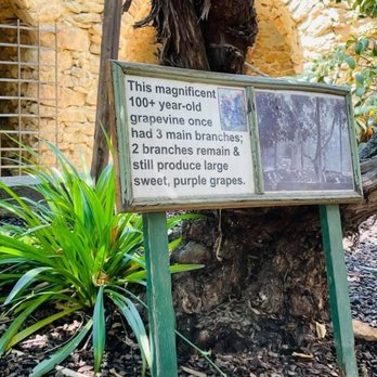 Forestiere Underground Gardens - Botanical Gardens Near Me - Fresno, California