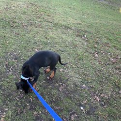 Jonathan Rogers Park