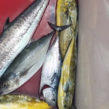 Double Header Sportfishing - Boat Charters Near Me - St. Thomas, Virgin Islands