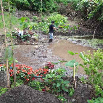 EcoHomeNY Designs - a man standing in a garden - General Contractors Near Me - Riverhead, New York