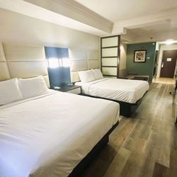 Best Western Plus JFK Inn & Suites - Double Queen Suite