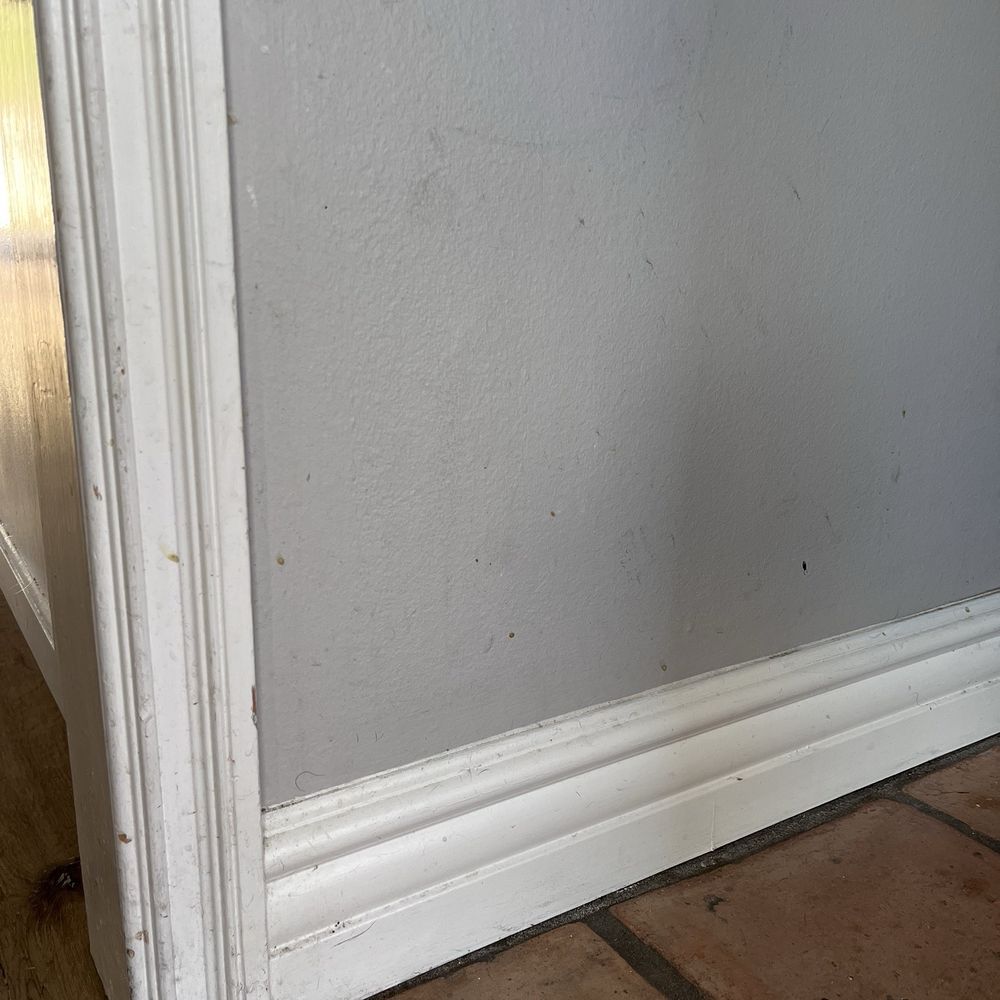 Paradise Property Management - Walls covered in filth. - Property Management Near Me - Ventura, California
