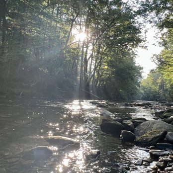 Davidson River Campground - Campgrounds Near Me - Brevard, North Carolina Davidson River Campground - Campgrounds Near Me - Brevard, North Carolina