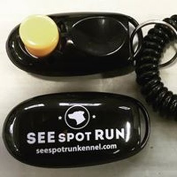 See Spot Run - Clicker training - Pet Training Near Me - Chicago, Illinois See Spot Run - Clicker training - Pet Training Near Me - Chicago, Illinois