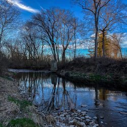 Carter Park