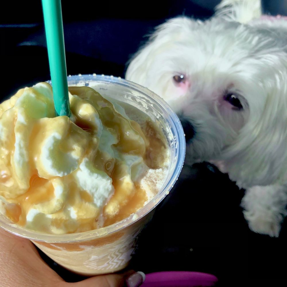 Starbucks - Coffee & Tea Near Me - San Diego, California Starbucks - Coffee & Tea Near Me - San Diego, California