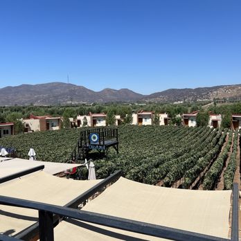 Ojo Azul - Vineyard view from restaurant rooftop - Venues & Event Spaces Near Me - Valle de Guadalupe, BCN Ojo Azul - Vineyard view from restaurant rooftop - Venues & Event Spaces Near Me - Valle de Guadalupe, BCN