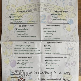 Hot Diggity Dog Resort - Her report card - Pet Training Near Me - Escondido, California