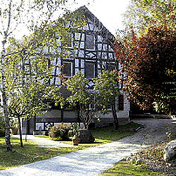 Restaurant Falconera