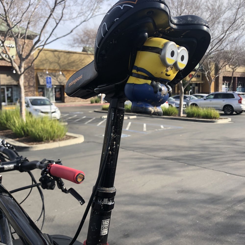 Trek Bicycle Livermore - Look who loves going on mountain bike rides - Bikes Near Me - Livermore, California Trek Bicycle Livermore - Look who loves going on mountain bike rides - Bikes Near Me - Livermore, California