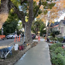 Oakland Sidewalks - Replaced sidewalk damaged and lifted by city tree
