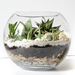 Rose Garden Florist - Terrarium Garden - Classes Available