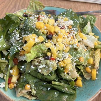 Sammy Hagars Beach Bar And Grill - Green salad - Breakfast & Brunch Near Me - Charlotte, North Carolina
