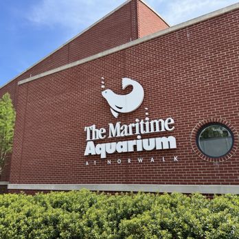 Maritime Aquarium - Aquariums Near Me - Norwalk, Connecticut Maritime Aquarium - Aquariums Near Me - Norwalk, Connecticut