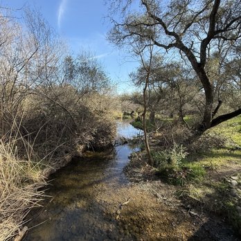 Hinkle Creek Nature Area - Enjoying the clean fresh air - 2/1/2026 - Hiking Near Me - Folsom, California