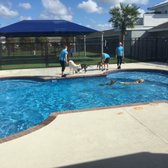 pet paradise resort near me