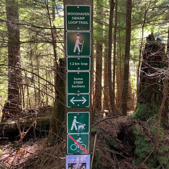 Belcarra Park - Parks Near Me - Belcarra, British Columbia