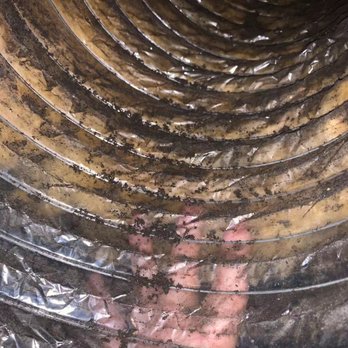 Steam Express - This is after they claim they "clean" and remove all the mold. - Carpet Cleaning Near Me - Houston, Texas