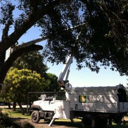 Chavco Tree & Landscape Services
