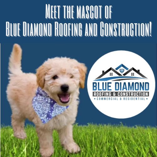 Slide of Blue Diamond Roofing & Construction
