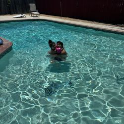 Revive pool Service - Our kids so happy