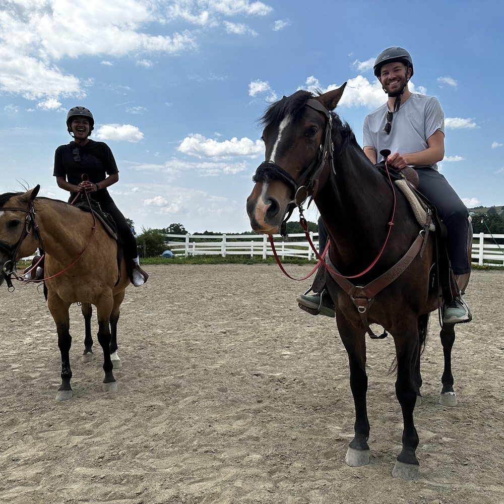 and the, image size:1000x1000