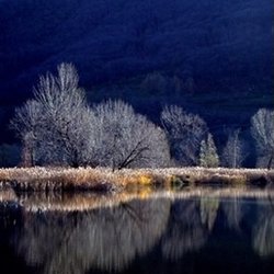 Metamorphosis Counseling and Health Center of Idaho