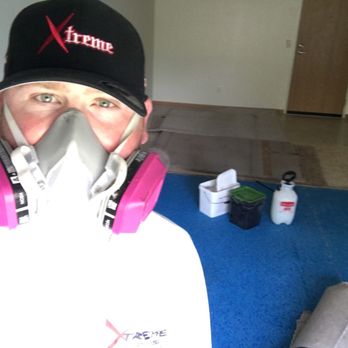 Xtreme Pest Solutions - Pest Control Near Me