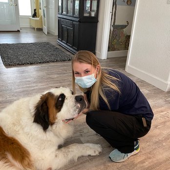 BetterVet - Pittsburgh - Happy home visit - Veterinarians Near Me BetterVet - Pittsburgh - Happy home visit - Veterinarians Near Me